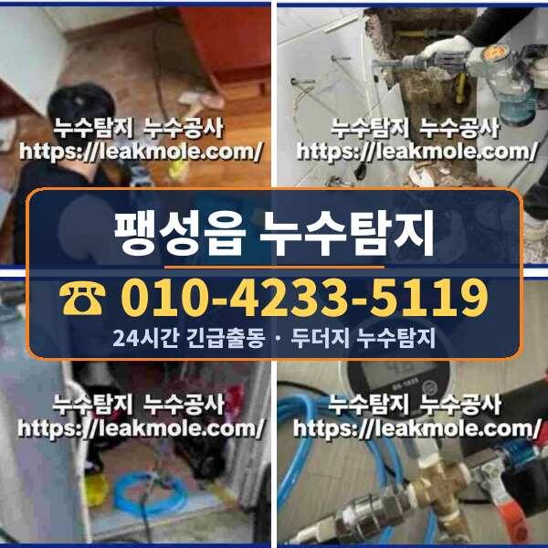 팽성읍 누수탐지