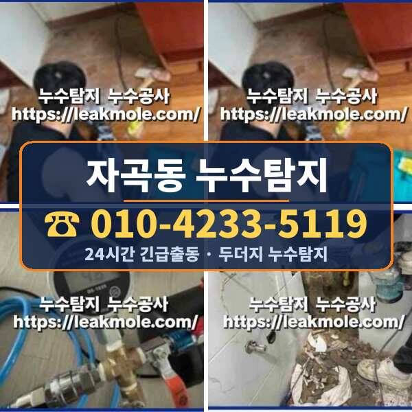 자곡동 누수탐지
