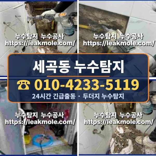 세곡동 누수탐지