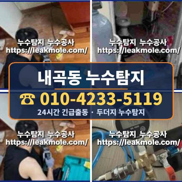 내곡동 누수탐지