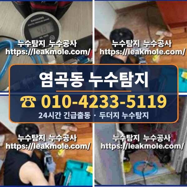 염곡동 누수탐지